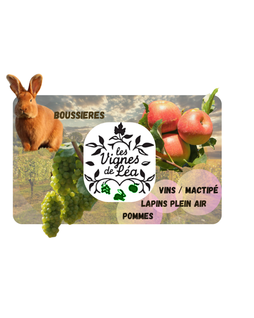 Partenaires-2025.zip-2-1-edited